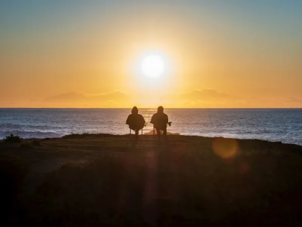 Annuities Are : A Smart Choice for Your 401 (K) Rollover