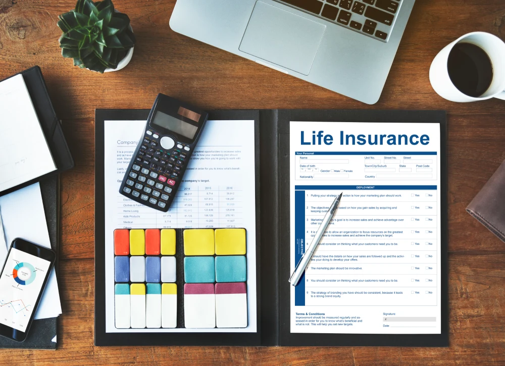 term life insurance plan
